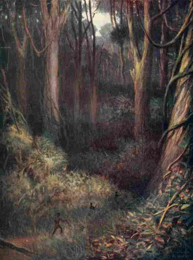 Hardy Norman 1912 The Equatorial Forest A4 Photo Print