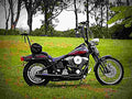 Harley Davidson 1340 Bad Boy 1995 1 motorbike A4 Photo Print