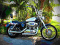 Harley Davidson 1340 Low Rider FXRS 1989 5 motorbike A4 Photo Print