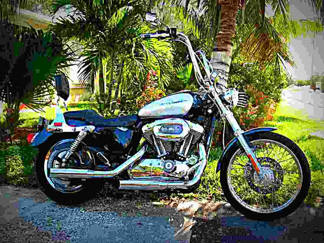 Harley Davidson 1340 Low Rider FXRS 1989 5 motorbike A4 Photo Print