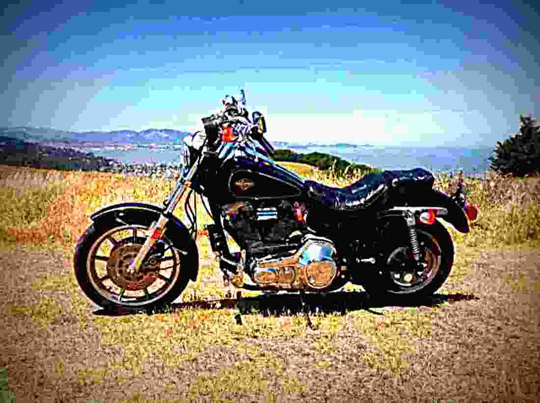 Harley Davidson 1340 Low Rider Sport Edition FXRS 1986 2 motorbike A4 Photo Print