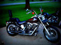Harley Davidson 1340 Softail Custom 1994 5 motorbike A4 Photo Print