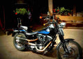 Harley Davidson 1340 Softail Custom 1995 1 motorbike A4 Photo Print