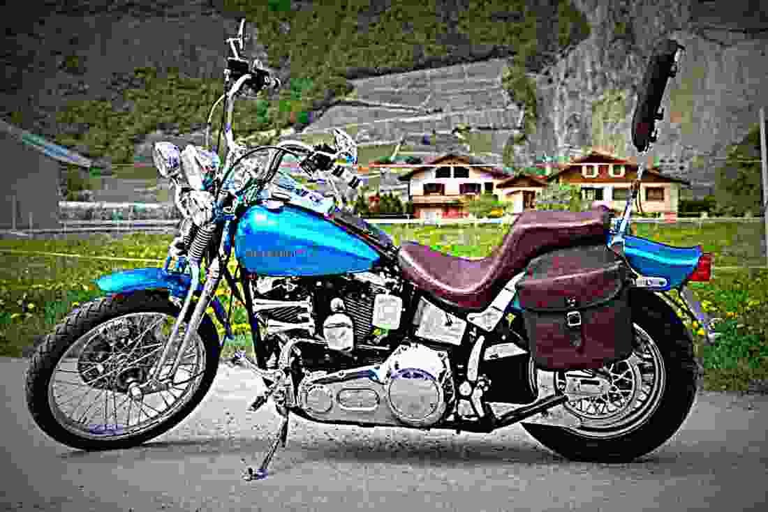 Harley Davidson 1340 Softail Custom FXSTC 1991 3 motorbike A4 Photo Print