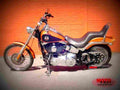 Harley Davidson 1340 Softail Custom FXSTC 1991 6 motorbike A4 Photo Print