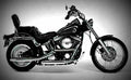 Harley Davidson 1340 Softail Springer 1995 5 motorbike A4 Photo Print