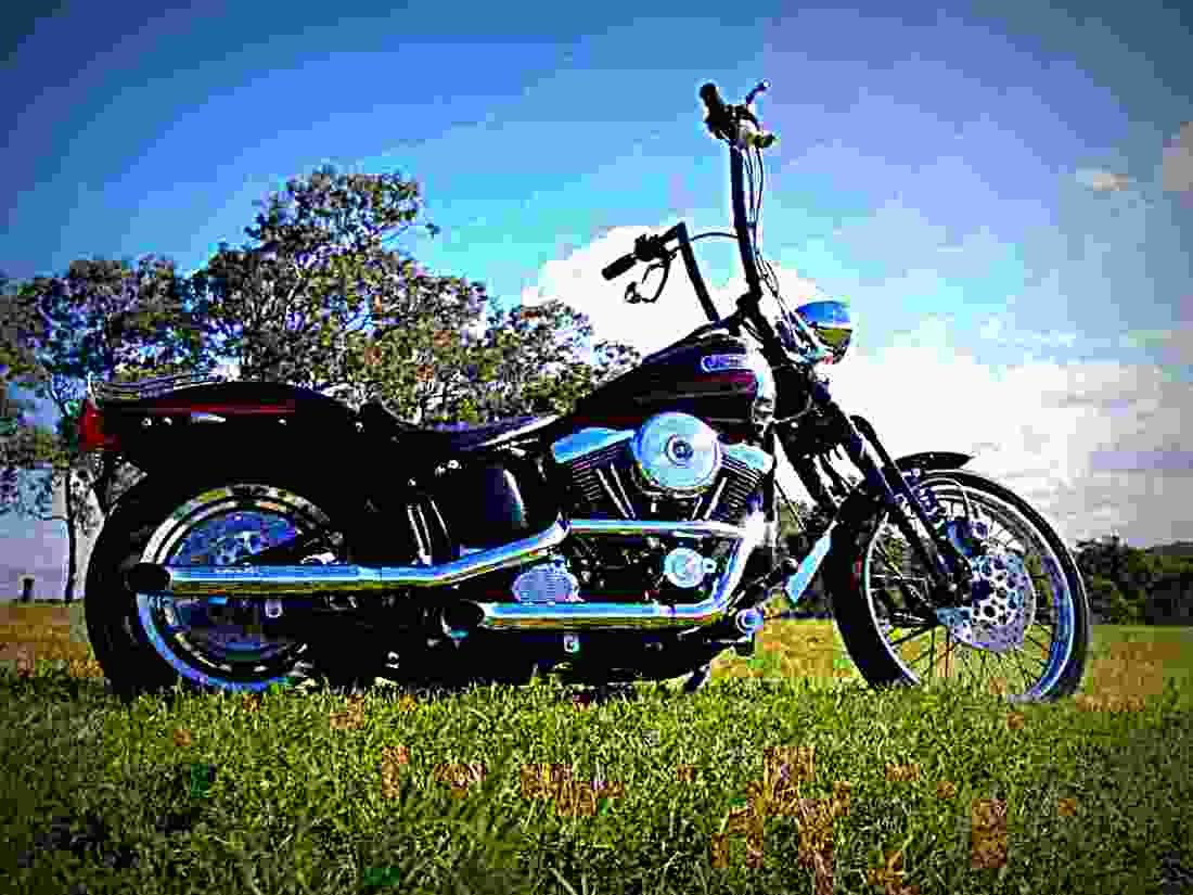 Harley Davidson 1340 Softail Springer 1995 6 motorbike A4 Photo Print