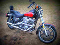 Harley Davidson 1340 Super Glide FXR 1988 3 motorbike A4 Photo Print