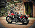 Harley Davidson Dyna Low Rider 2001 4 motorbike A4 Photo Print