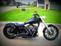 Harley Davidson Dyna Wide Glide 2001 5 motorbike A4 Photo Print