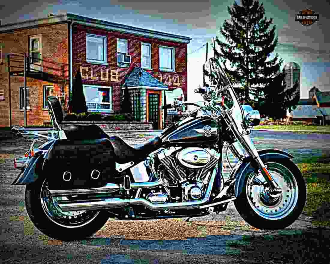 Harley Davidson FLSTF Fat Boy 1999 2 motorbike A4 Photo Print