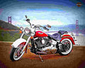 Harley Davidson FLSTN Softail Deluxe FLSTN Softail Deluxe 1 motorbike A4 Photo Print