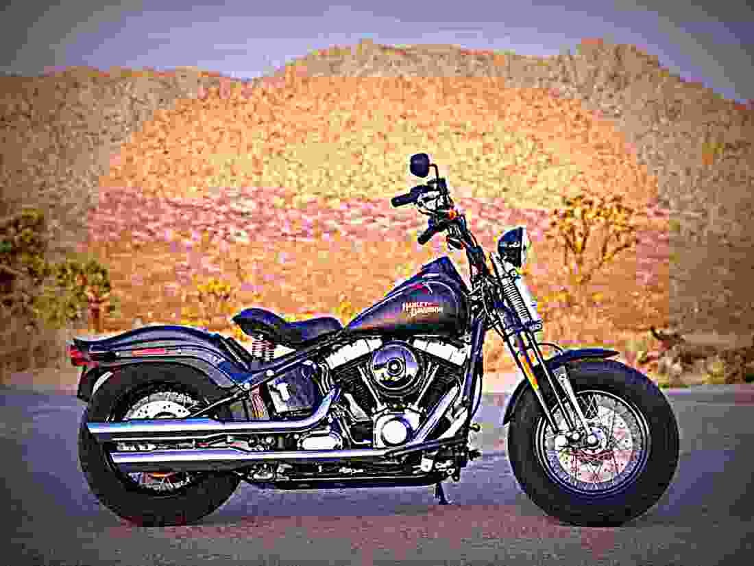Harley Davidson FLSTSB CROSS BONES FLSTSB CROSS BONES 4 motorbike A4 Photo Print