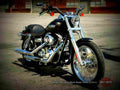 Harley Davidson FXD Dyna Super Glide 2002 6 motorbike A4 Photo Print