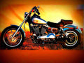 Harley Davidson FXDL Dyna Low Rider 2002 2 motorbike A4 Photo Print