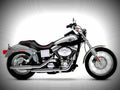 Harley Davidson FXDL Dyna Low Rider 2003 1 motorbike A4 Photo Print