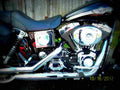 Harley Davidson FXDXT Dyna Super Glide T Sport 2003 6 motorbike A4 Photo Print