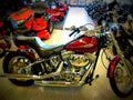 Harley Davidson FXST Softail Standard 2000 3 motorbike A4 Photo Print