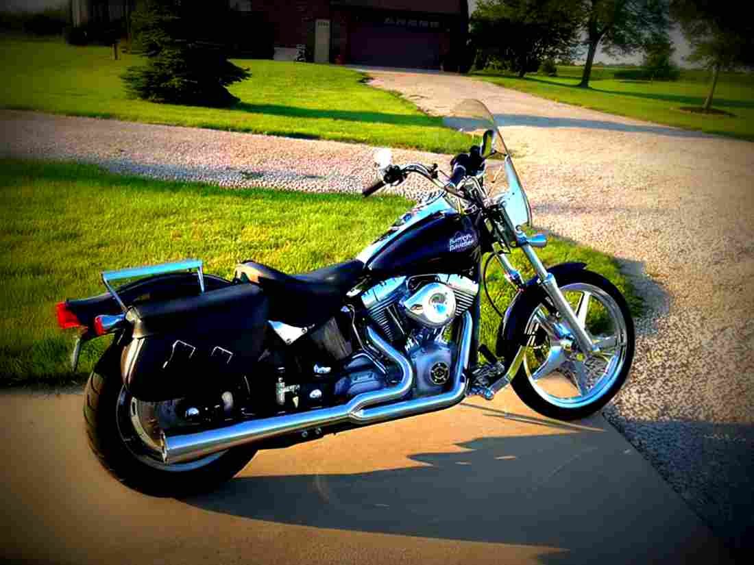 Harley Davidson FXST Softail Standard 2000 5 motorbike A4 Photo Print