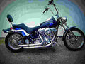 Harley Davidson FXST Softail Standard 2002 1 motorbike A4 Photo Print