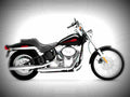 Harley Davidson FXST Softail Standard 2003 5 motorbike A4 Photo Print