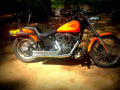 Harley Davidson FXSTB Night Train 2003 5 motorbike A4 Photo Print