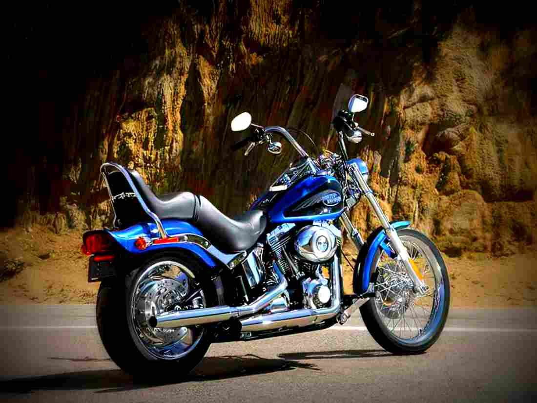 Harley Davidson FXSTC SOFTAIL CUSTOM FXSTC SOFTAIL CUSTOM (2009) 1 motorbike A4 Photo Print