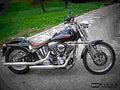 Harley Davidson FXSTS Springer Softail 2000 6 motorbike A4 Photo Print