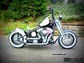 Harley Davidson FXSTS Springer Softail 2002 6 motorbike A4 Photo Print