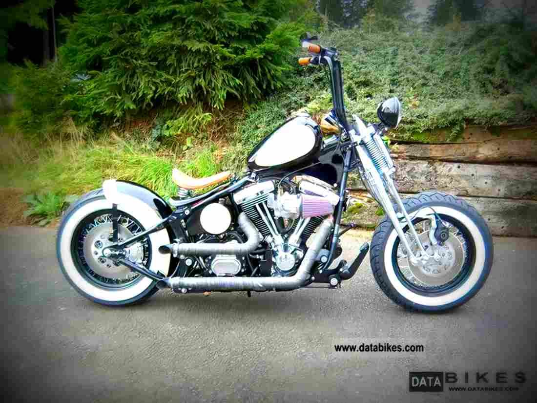 Harley Davidson FXSTS Springer Softail 2002 6 motorbike A4 Photo Print