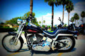 Harley Davidson FXSTSI Springer Softail 2004 6 motorbike A4 Photo Print