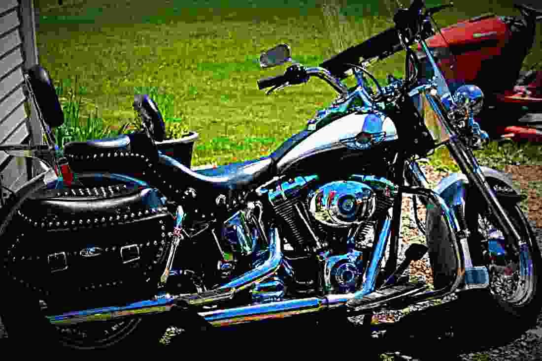 Harley Davidson Flstci Heritage Softail Classic 2003 4 motorbike A4 Photo Print
