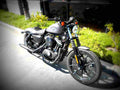 Harley Davidson Iron 883 883cc 5 motorbike A4 Photo Print