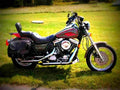 Harley Davidson Low Rider Convertible 1991 4 motorbike A4 Photo Print