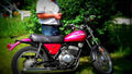 Harley Davidson SX 250 1976 4 motorbike A4 Photo Print