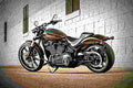 Harley Davidson Softail Breakout 114 2019 1 motorbike A4 Photo Print