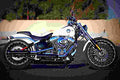 Harley Davidson Softail Breakout 2017 1 motorbike A4 Photo Print