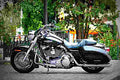 Harley Davidson Softail Custom 1998 2 motorbike A4 Photo Print