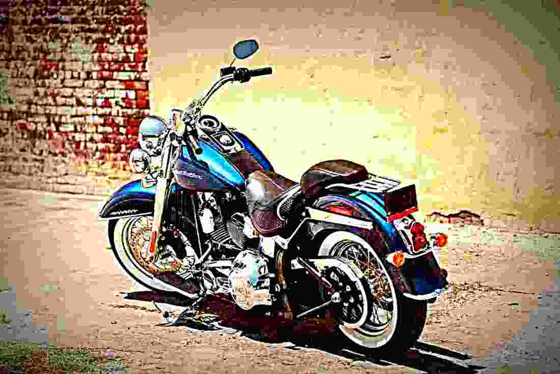 Harley Davidson Softail Deluxe 2017 1 motorbike A4 Photo Print