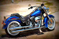 Harley Davidson Softail Deluxe 2017 2 motorbike A4 Photo Print