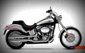 Harley Davidson Softail Deuce Injection 2001 1 motorbike A4 Photo Print