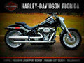 Harley Davidson Softail Fat Boy 114 2018 2 motorbike A4 Photo Print