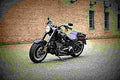 Harley Davidson Softail Fat Boy S 2017 3 motorbike A4 Photo Print