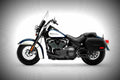 Harley Davidson Softail Heritage Classic 114 2019 3 motorbike A4 Photo Print