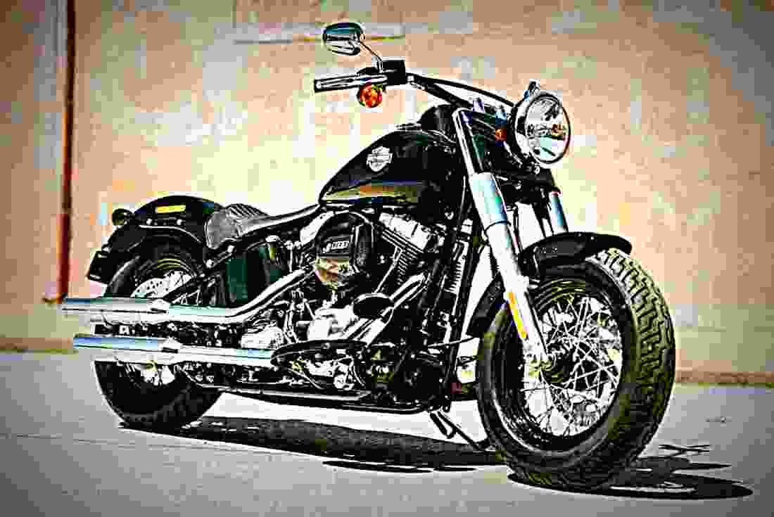 Harley Davidson Softail Slim 2017 1 motorbike A4 Photo Print
