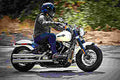 Harley Davidson Softail Slim 2017 3 motorbike A4 Photo Print