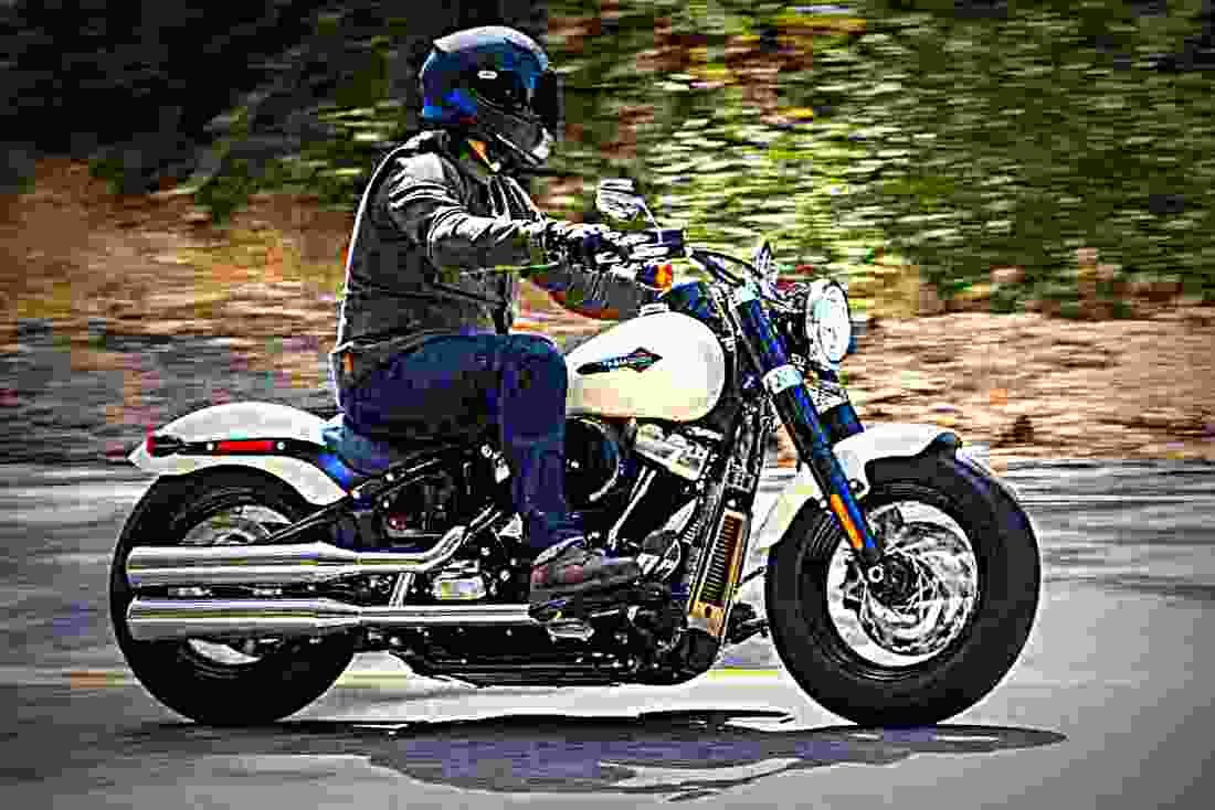 Harley Davidson Softail Slim 2017 3 motorbike A4 Photo Print