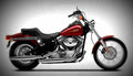 Harley Davidson Softail Standard 1999 2 motorbike A4 Photo Print