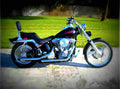 Harley Davidson Softail Standard 1999 4 motorbike A4 Photo Print