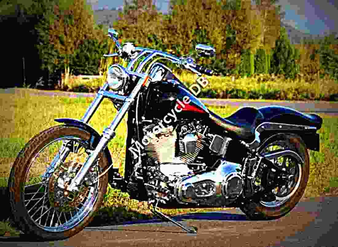 Harley Davidson Softail Standard 1999 5 motorbike A4 Photo Print